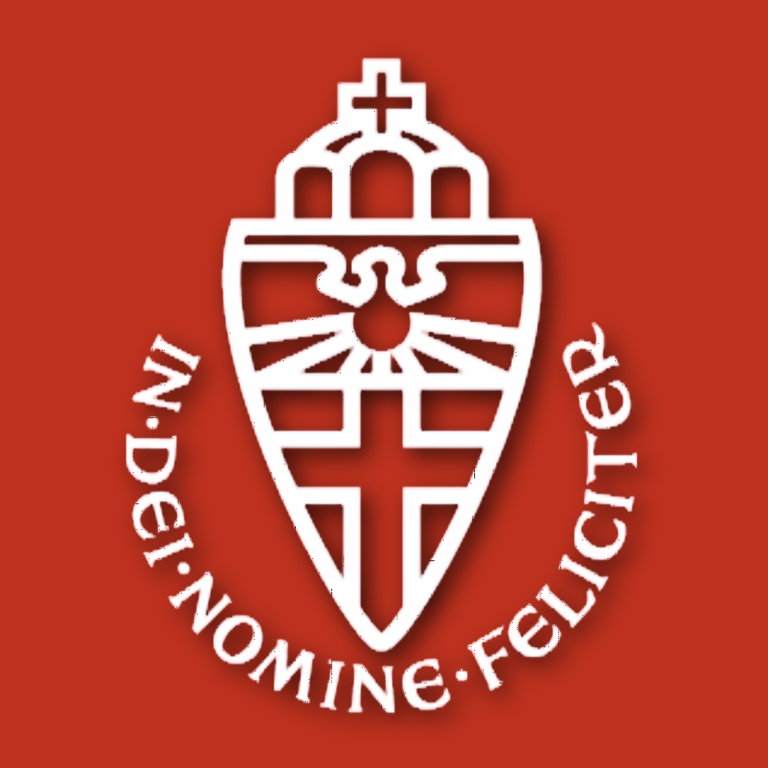 Radboud University Profile